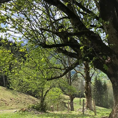 Apartment Haus Voglreiter - Inkl Sommerkarte, Zentrale Und Ruhige Lage, Garten Mit Spielplatz *
