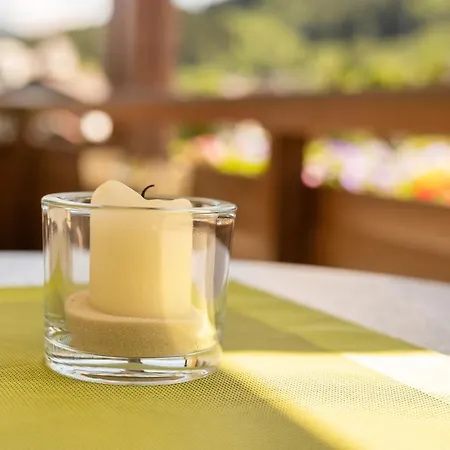 Haus Voglreiter - Inkl Sommerkarte, Zentrale Und Ruhige Lage, Garten Mit Spielplatz Appartamento Kaprun