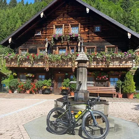Apartament Haus Voglreiter - Inkl Sommerkarte, Zentrale Und Ruhige Lage, Garten Mit Spielplatz