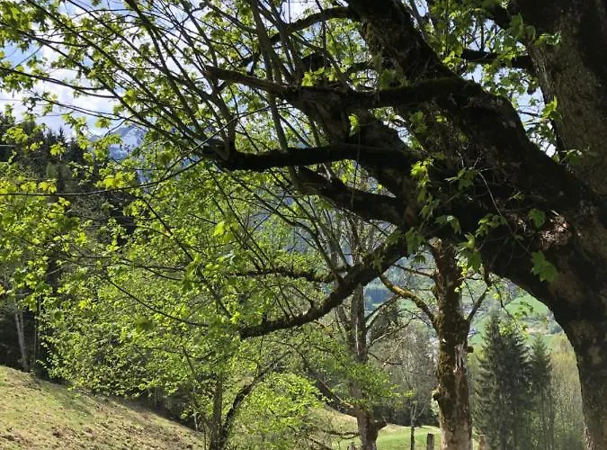 Lejlighed Haus Voglreiter - Inkl Sommerkarte, Zentrale Und Ruhige Lage, Garten Mit Spielplatz *