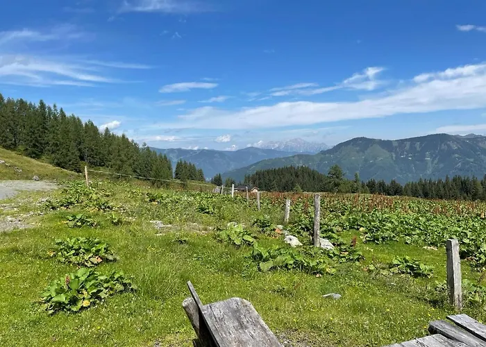 Διαμέρισμα Haus Voglreiter - Inkl Sommerkarte, Zentrale Und Ruhige Lage, Garten Mit Spielplatz