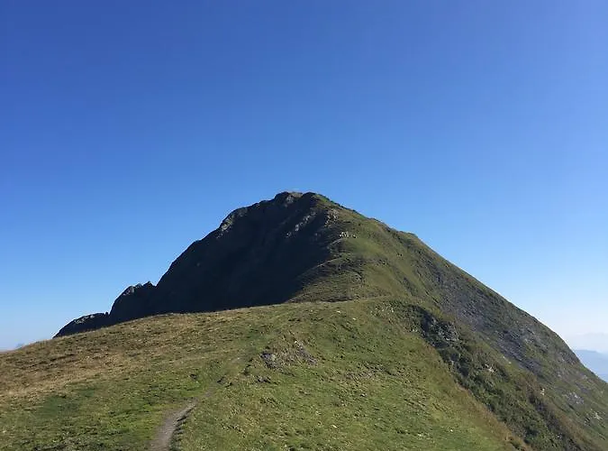 Haus Voglreiter - Inkl Sommerkarte, Zentrale Und Ruhige Lage, Garten Mit Spielplatz 卡普伦